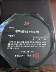 2009 Commendation Award by the Governor of Geumsan County